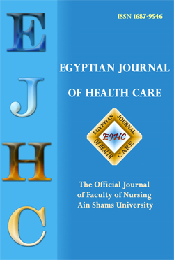 Egyptian Journal of Health Care